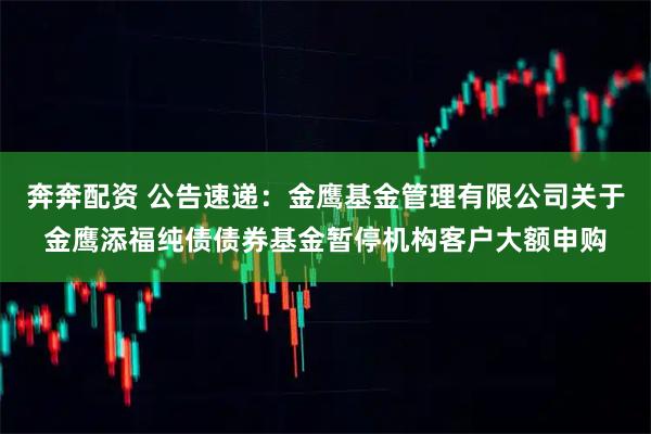 奔奔配资 公告速递：金鹰基金管理有限公司关于金鹰添福纯债债券基金暂停机构客户大额申购